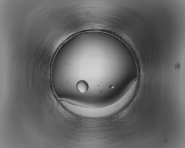 X0000110671081200906261252