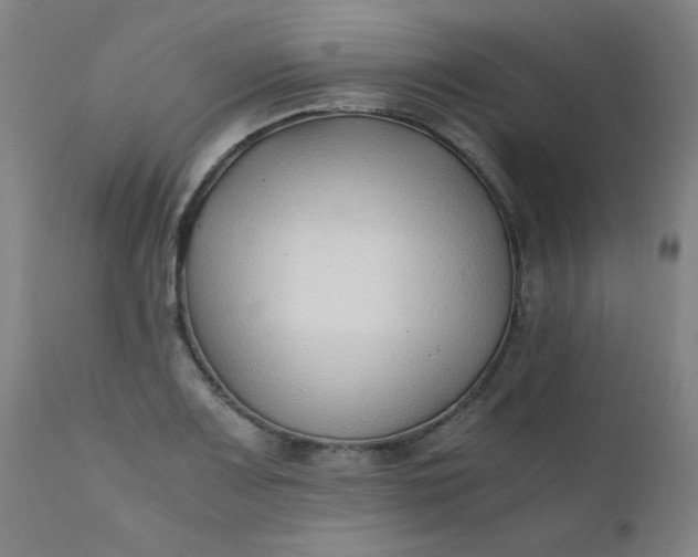 X0000110671083200906261252