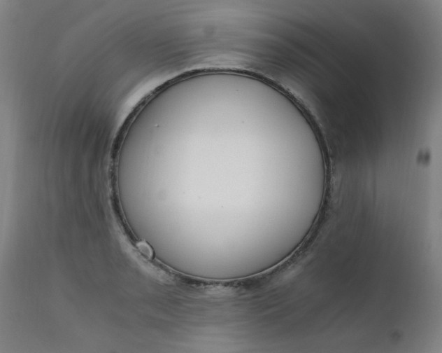 X0000110671085200906261252