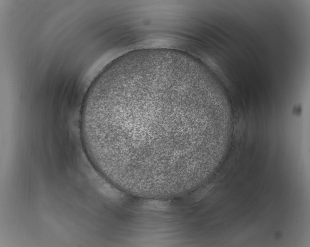 X0000110671086200906261252