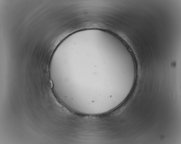 X0000110671089200906261252