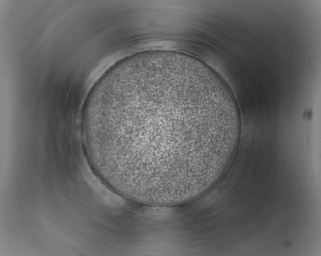 X0000110671090200906261251