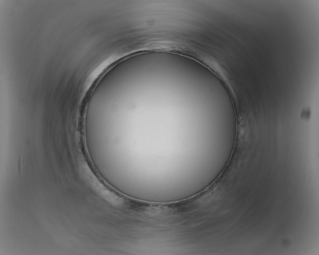 X0000110671091200906261251
