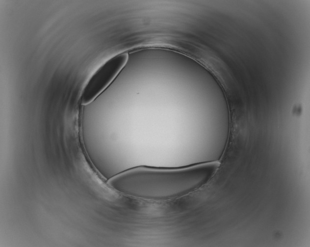 X0000110671092200906261251