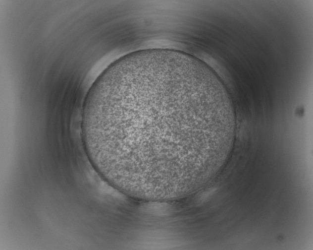 X0000110671094200906261251