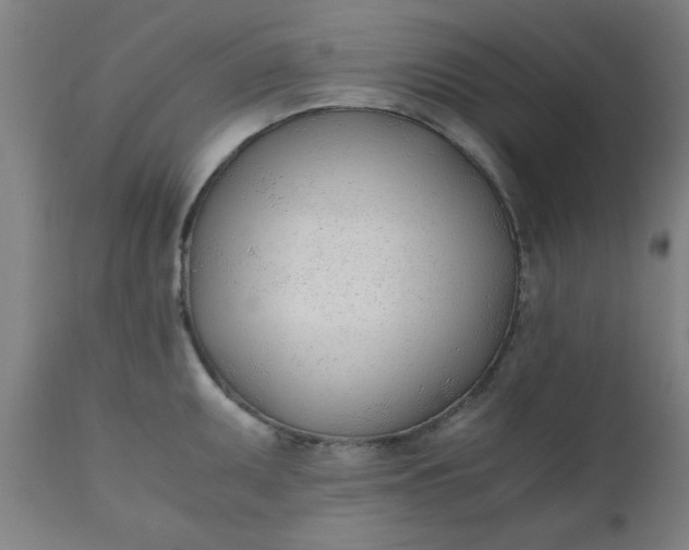 X0000110671095200906261251
