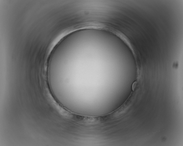 X0000110671099200906261251