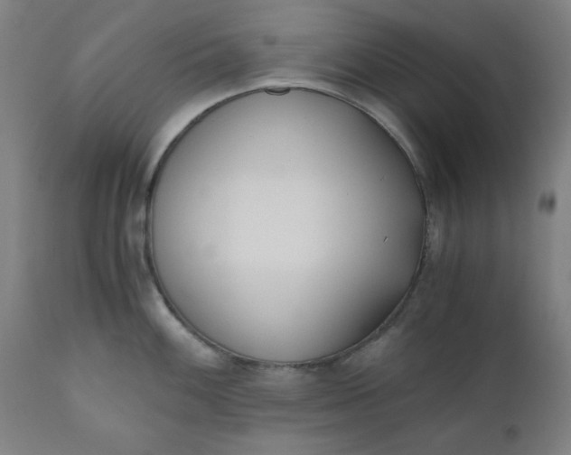 X0000110671100200906261251