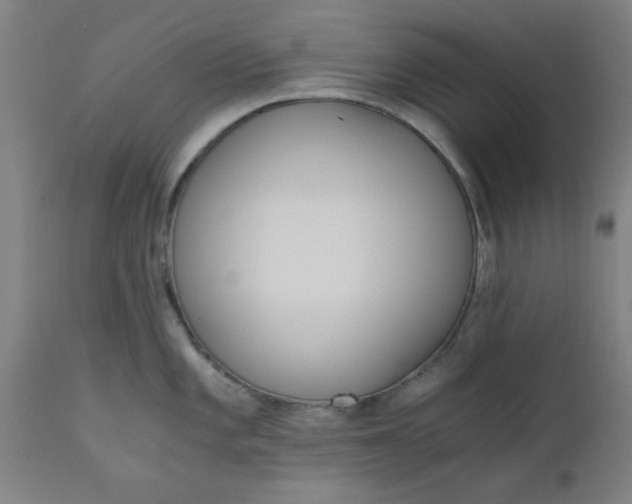 X0000110671101200906261251