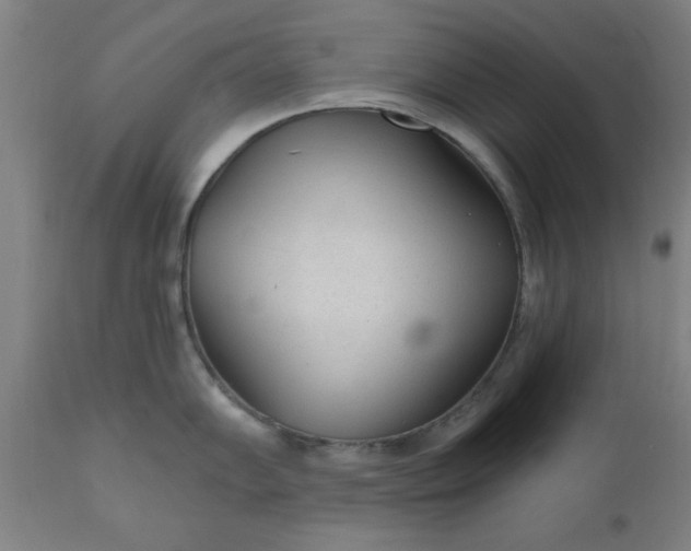 X0000110671102200906261251