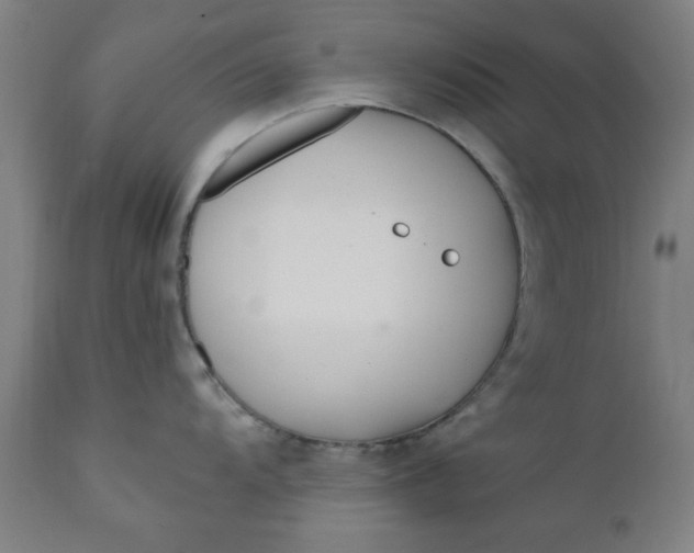 X0000110671104200906261251