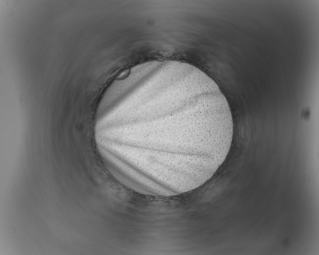 X0000110671105200906261251