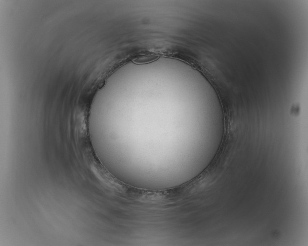 X0000110671106200906261251