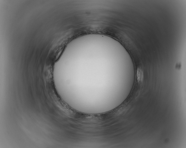 X0000110671107200906261251