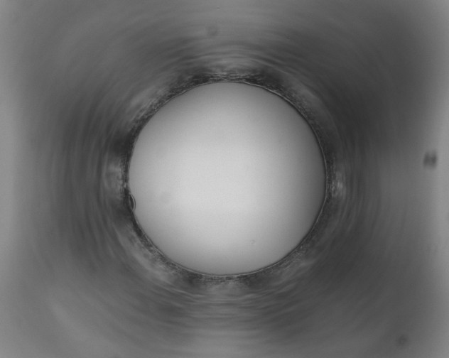 X0000110671108200906261251