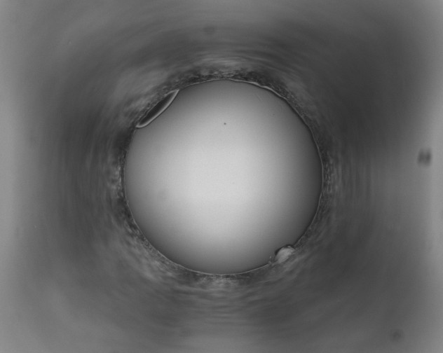 X0000110671109200906261251