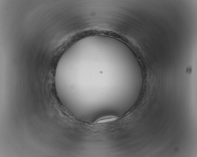 X0000110671110200906261251