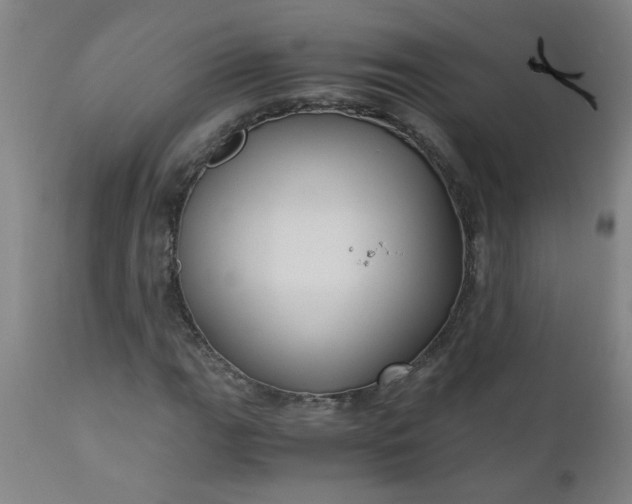 X0000110671111200906261251