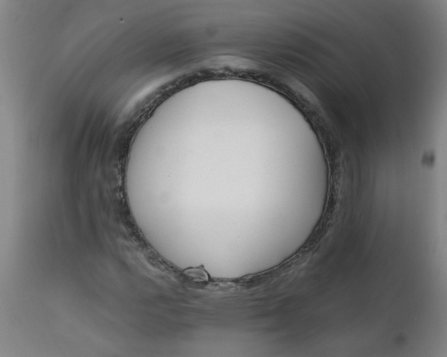 X0000110671112200906261251