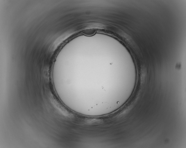 X0000110671113200906261251