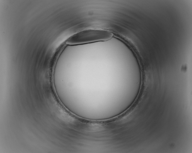 X0000110671114200906261251