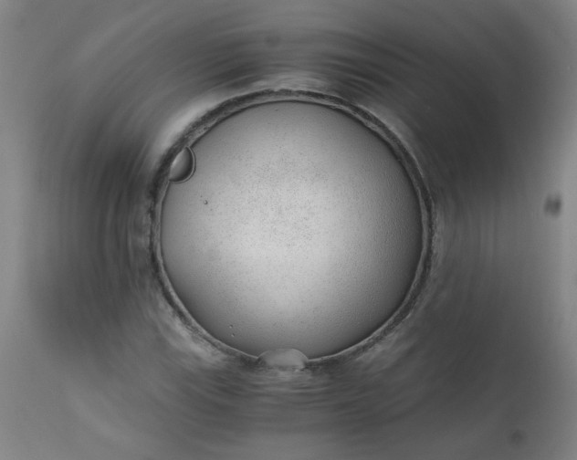 X0000110671115200906261251