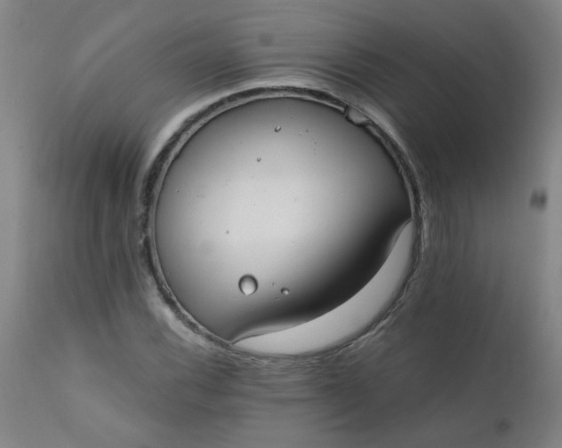 X0000110671116200906261251