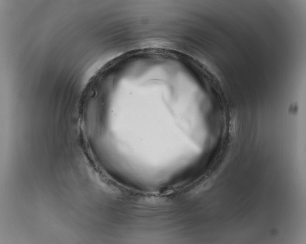 X0000110671117200906261251
