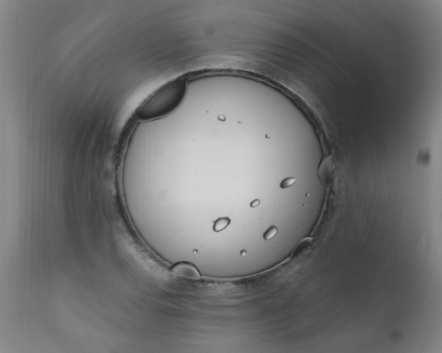 X0000110671120200906261251