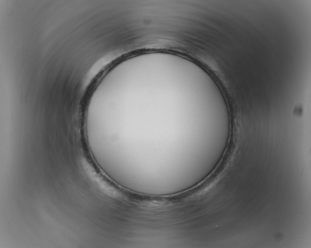 X0000110671122200906261251