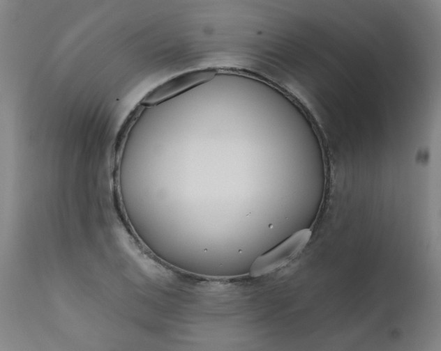 X0000110671124200906261251