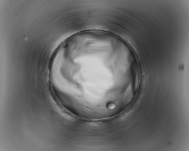 X0000110671125200906261251