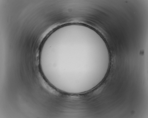X0000110671126200906261251