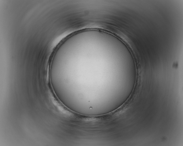 X0000110671127200906261251