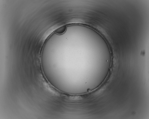 X0000110671129200906261251