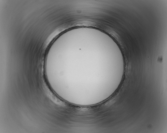 X0000110671130200906261251