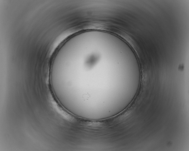 X0000110671131200906261251