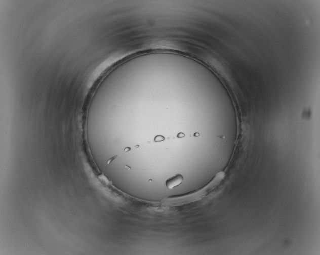 X0000110671133200906261251