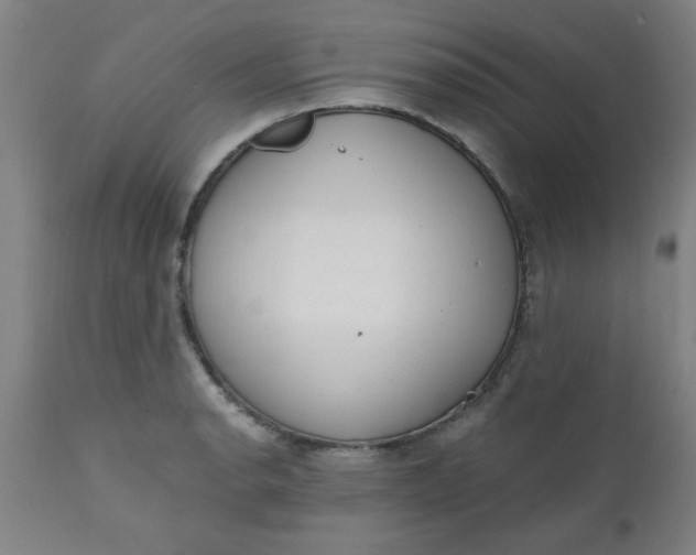 X0000110671134200906261251