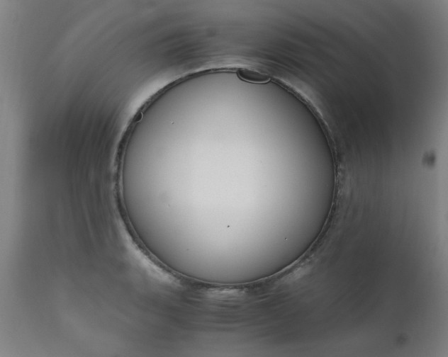 X0000110671135200906261251