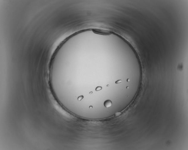 X0000110671136200906261251
