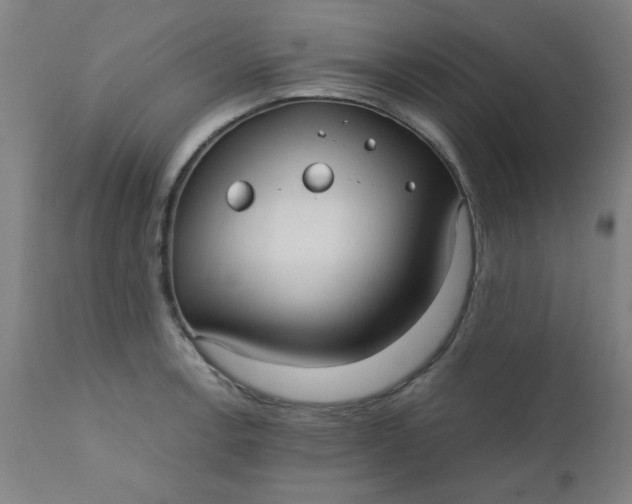 X0000110671138200906261251
