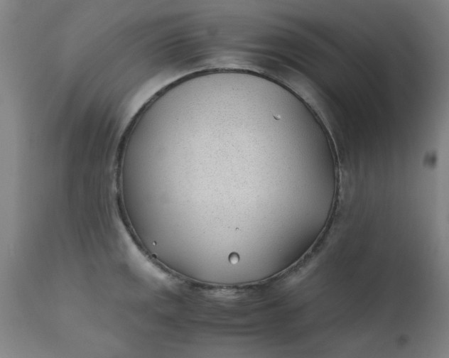 X0000110671141200906261251