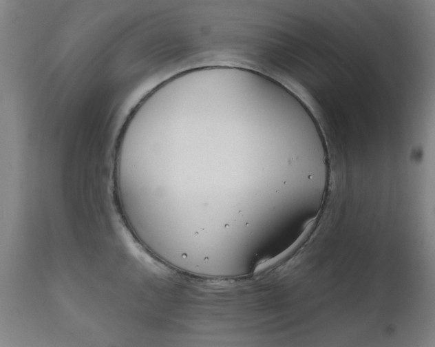 X0000110671144200906261251