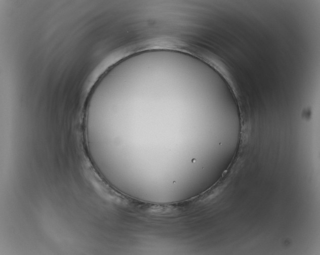 X0000110671146200906261251