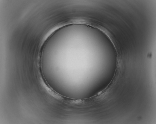 X0000110671147200906261251