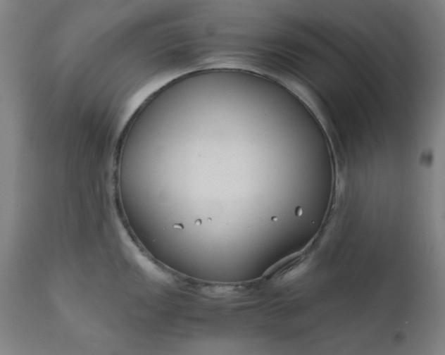 X0000110671149200906261251