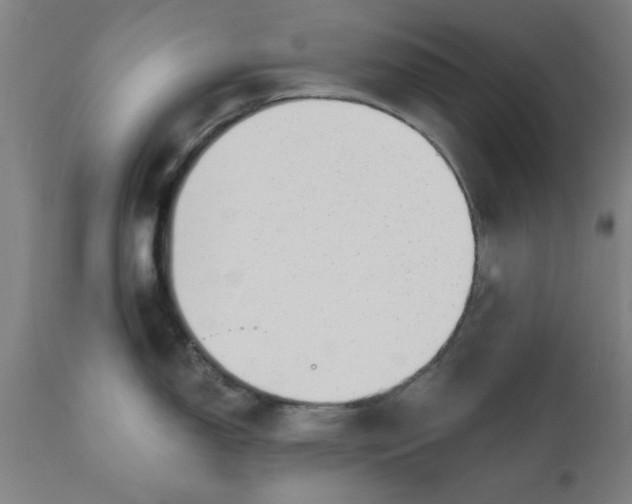 X0000110671150200906261251