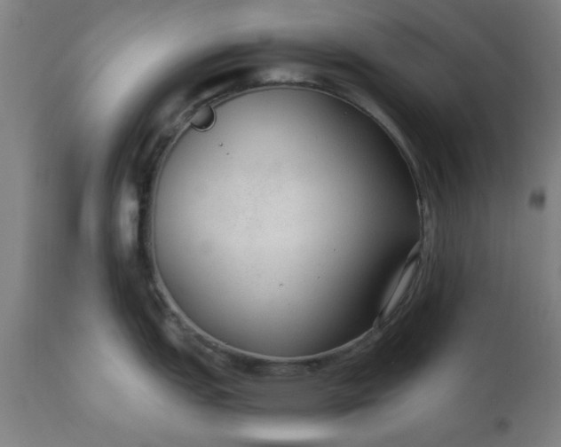 X0000110671151200906261251