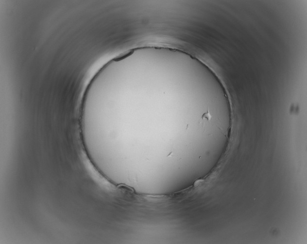X0000110671152200906261251